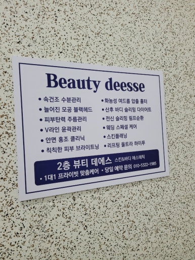 라데에스 이미지