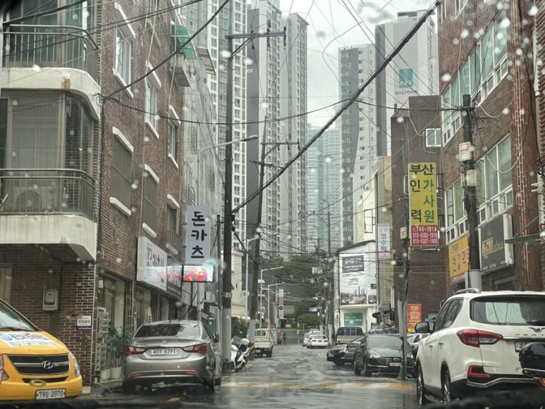 카츠신 이미지