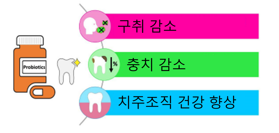 연세진정한치과 이미지