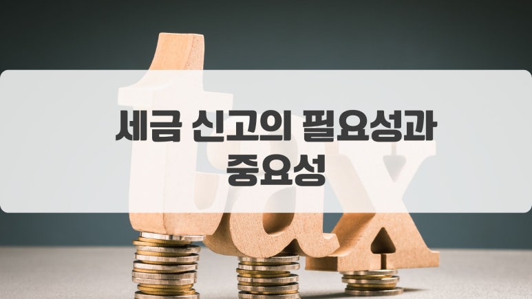 김영진세무사 이미지