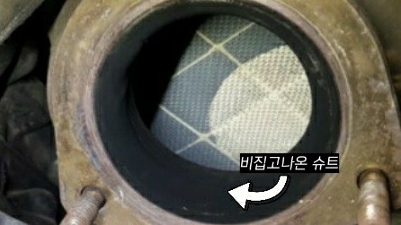 카데렐라 이미지