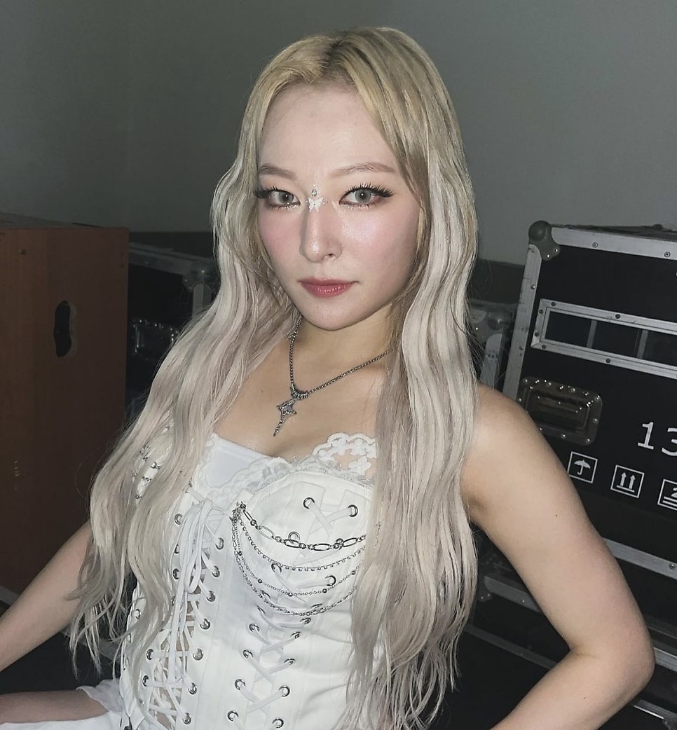 에드비 이미지