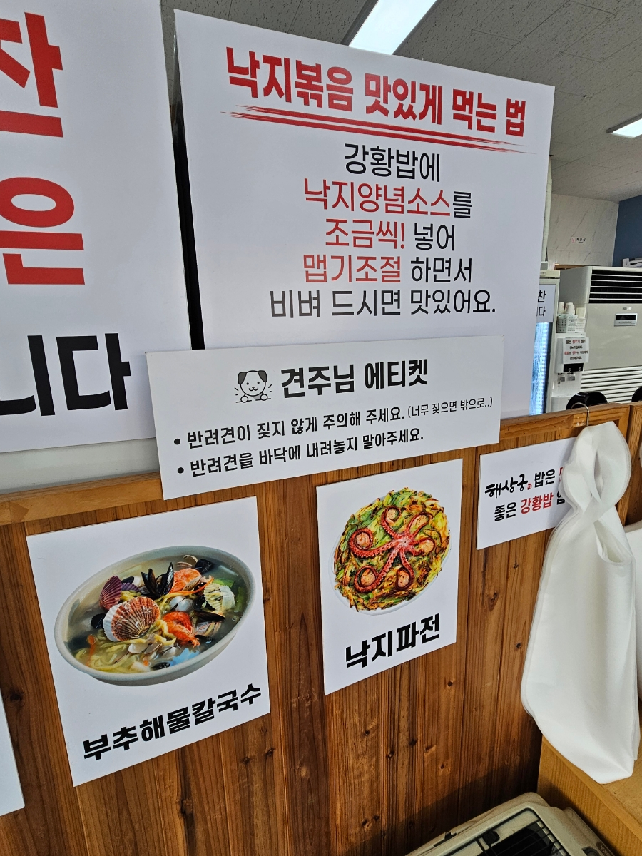 배상궁 이미지