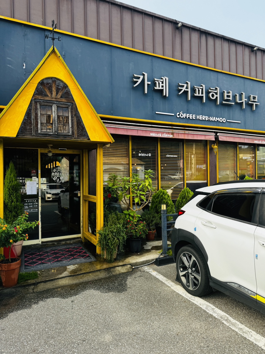 커피허브나무 이미지