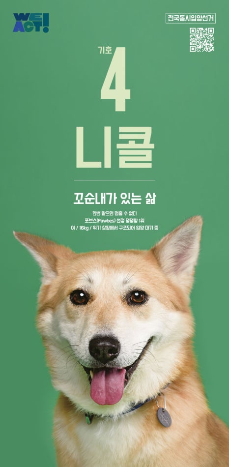 홍차부부사진가게 이미지