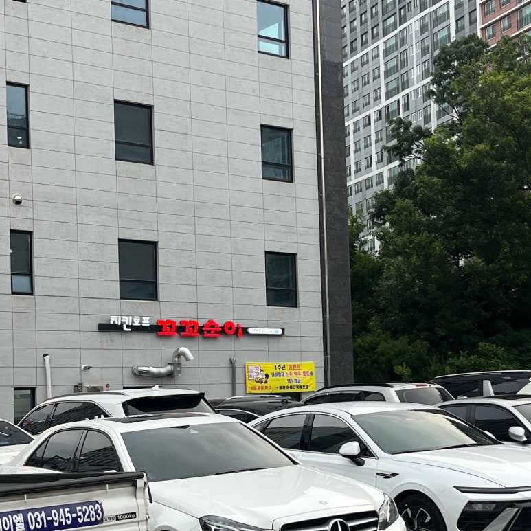 꼬꼬순이초롱꽃점 이미지