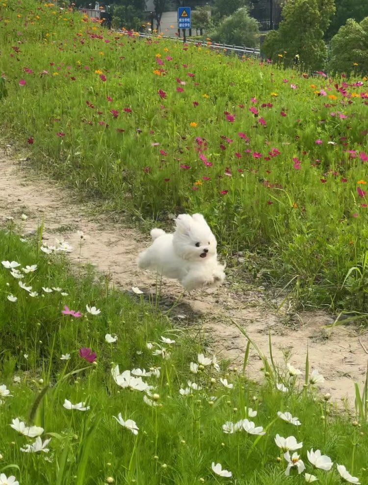 노하에너지 이미지