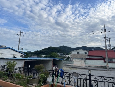 옛고향식당 이미지