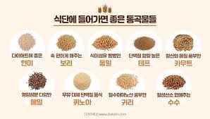 탄수화물 이미지