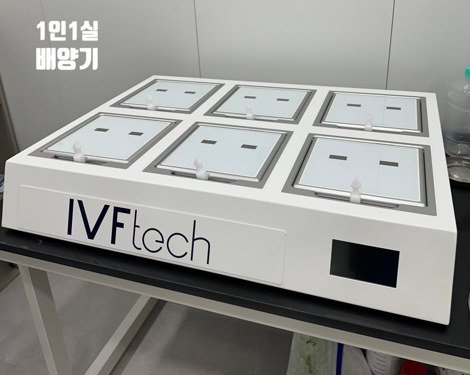 본베베여성의원 이미지