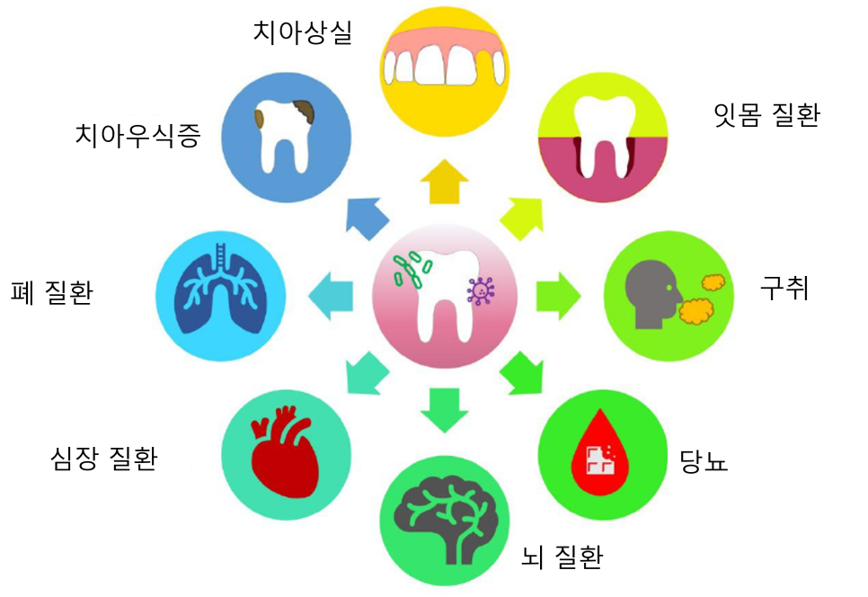 연세진정한치과 이미지