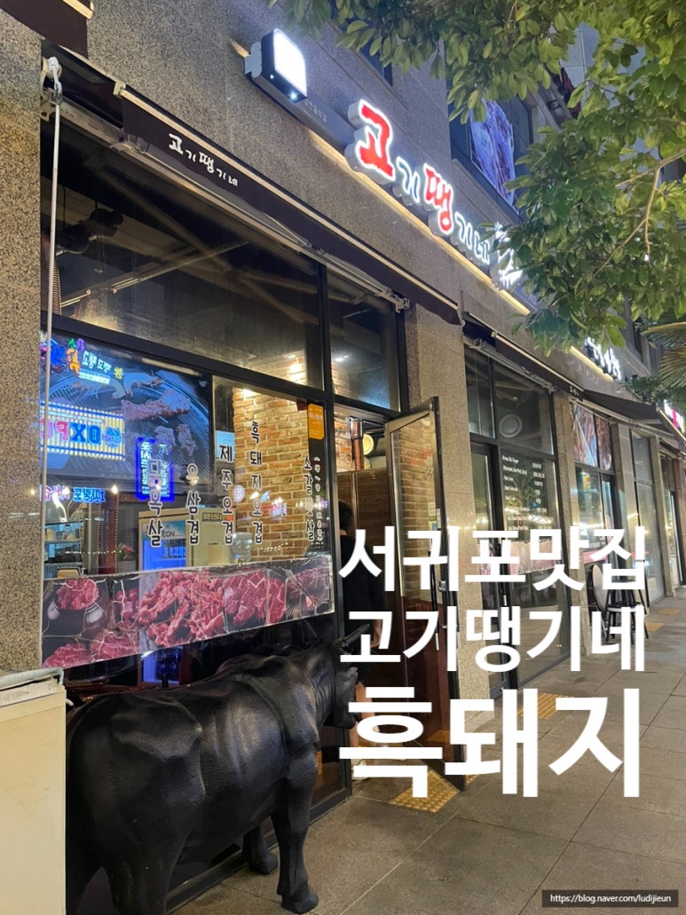고기땡기네 이미지