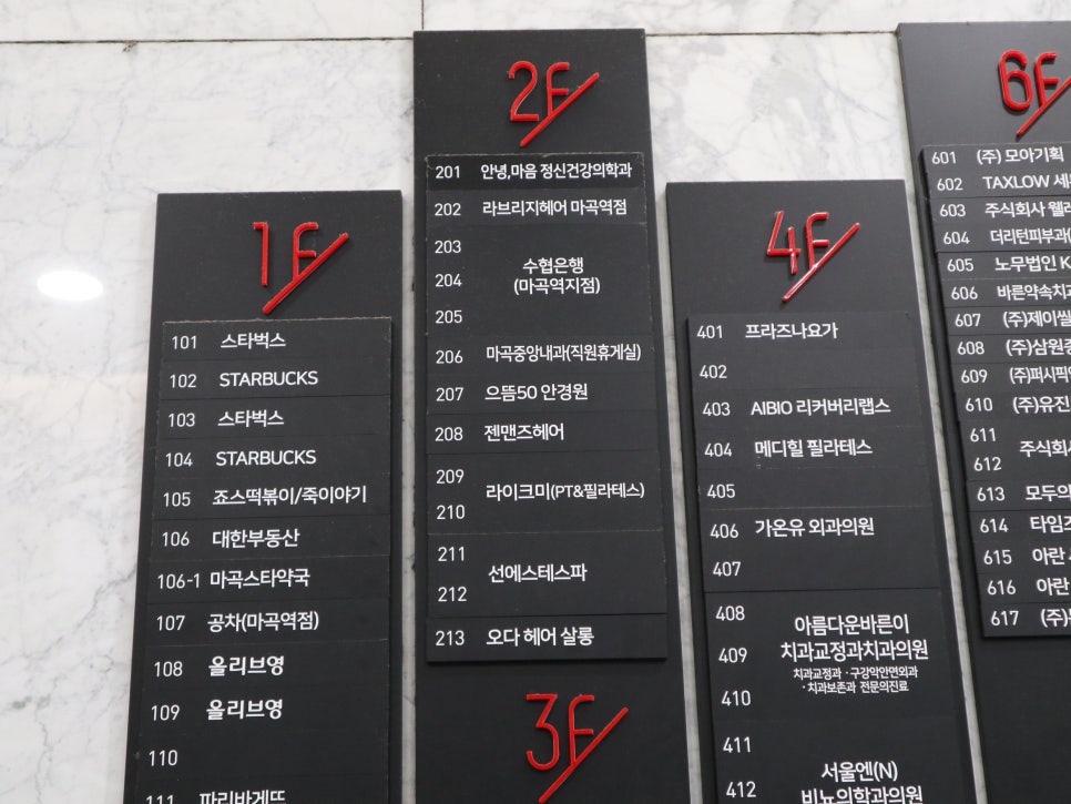 선에스테스파 이미지