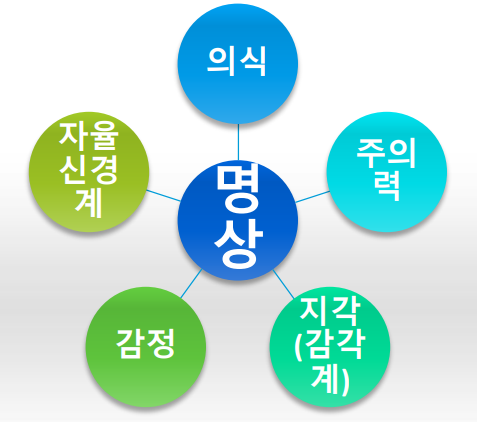 메디루스 이미지