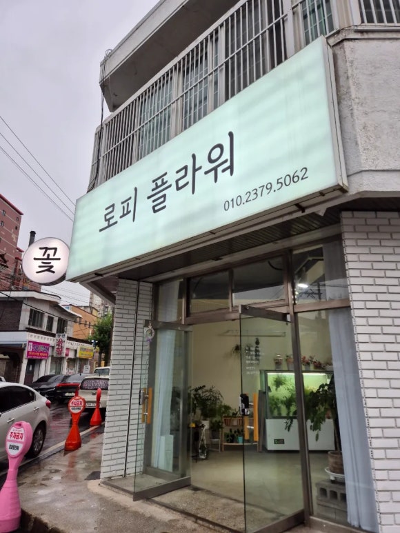 로피플라워&벌룬 이미지