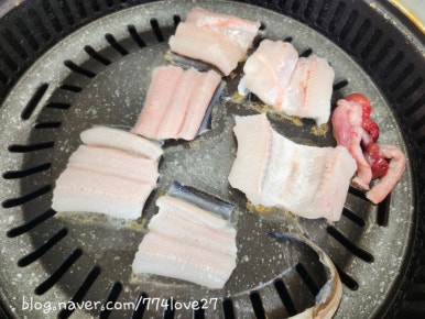 바다산장어 이미지