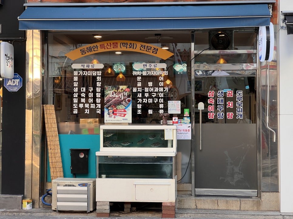 독도막회 이미지