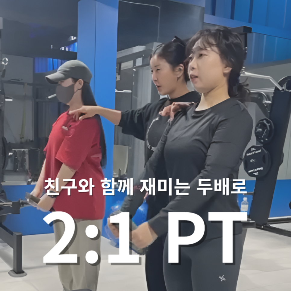 탭핏대치 이미지