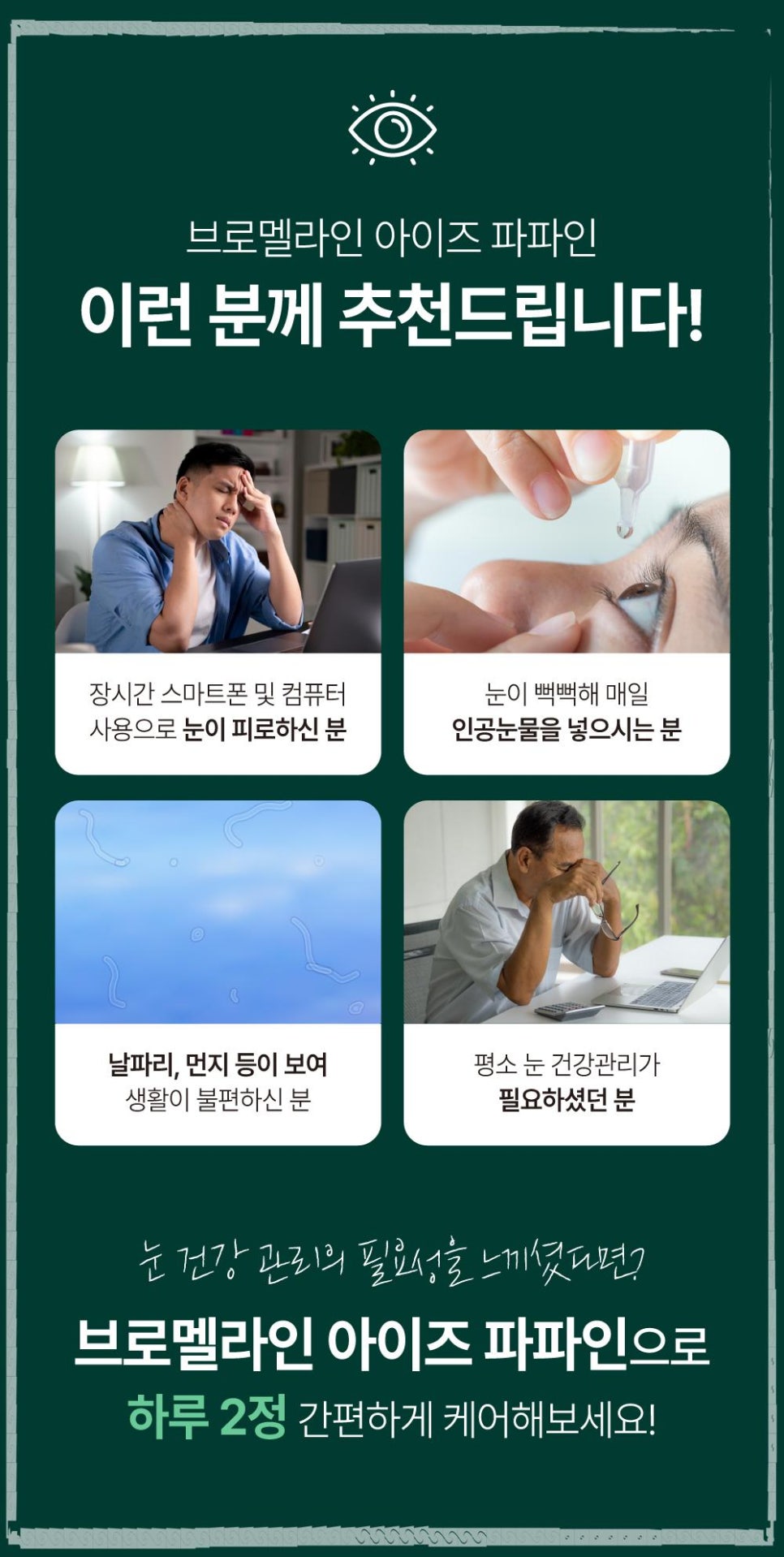 파파인 이미지