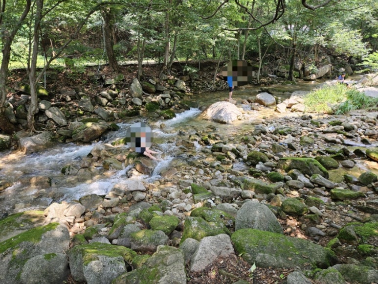 금수산가든민박 이미지