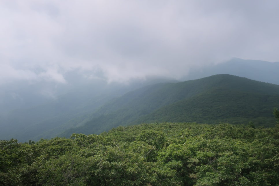 정상에서 바라본 오대산 방향 이미지