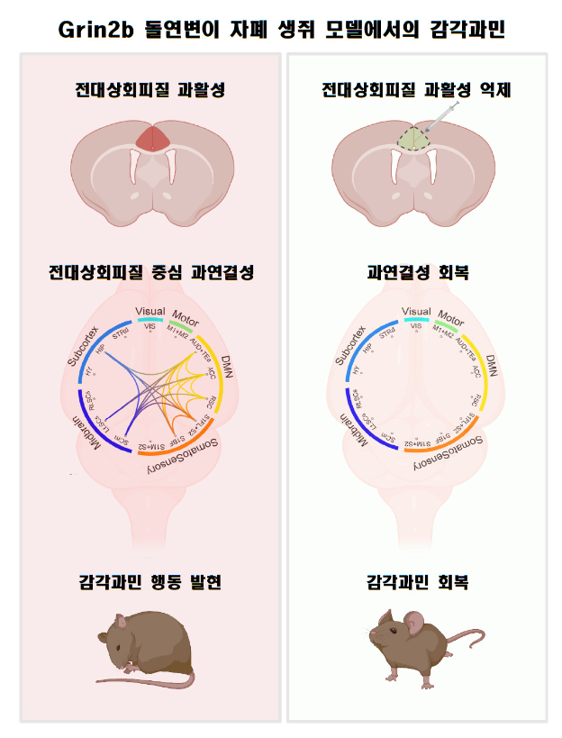 성화상회 이미지