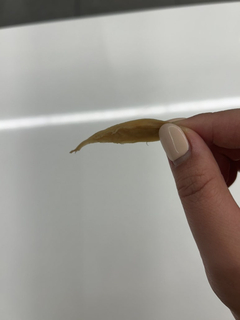 백성대패 포항 이미지