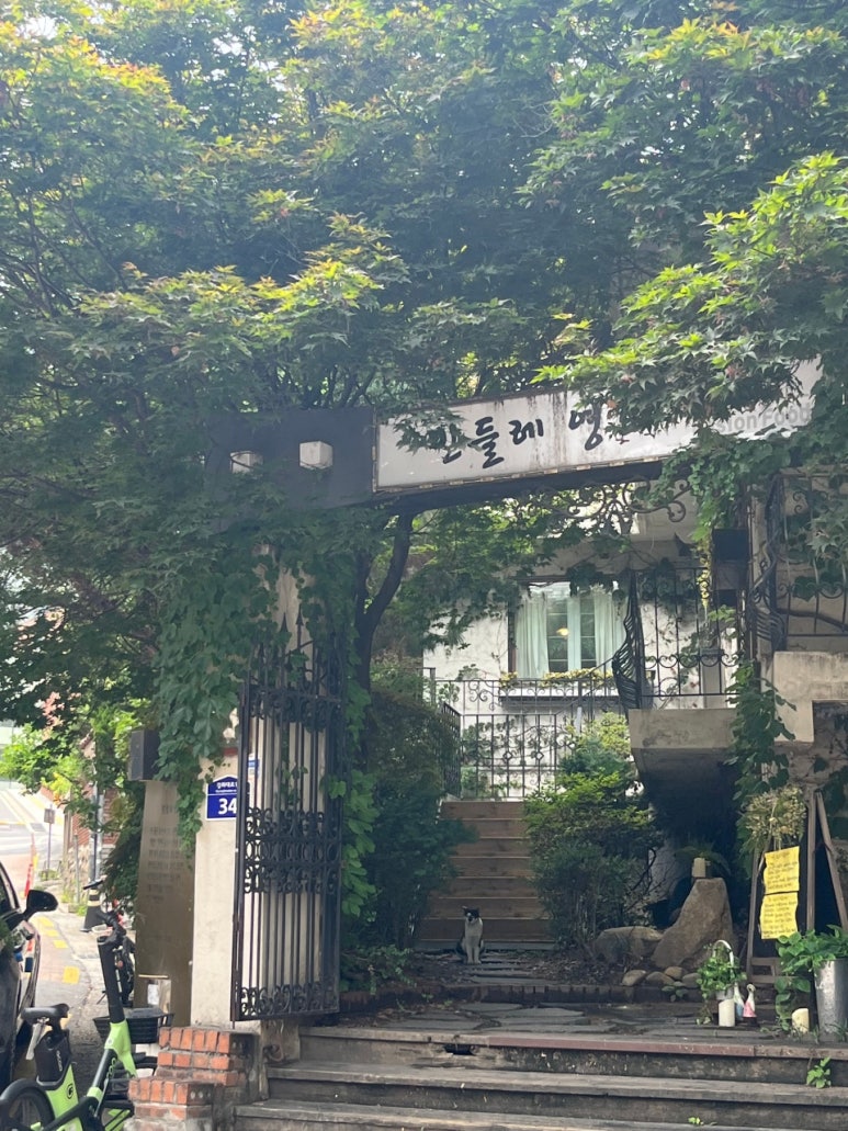 민들레다방 이미지