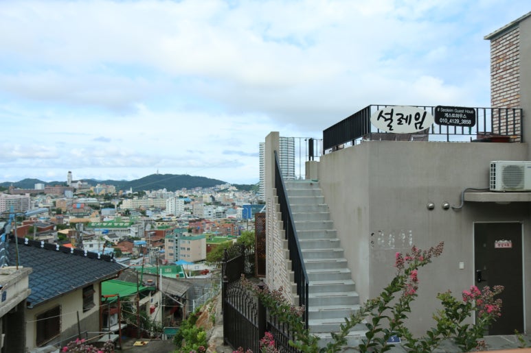 The 설레임 이미지