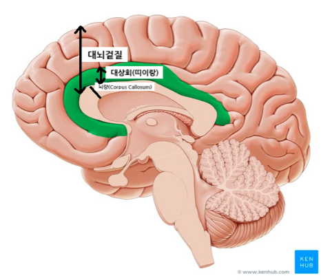 성화상회 이미지