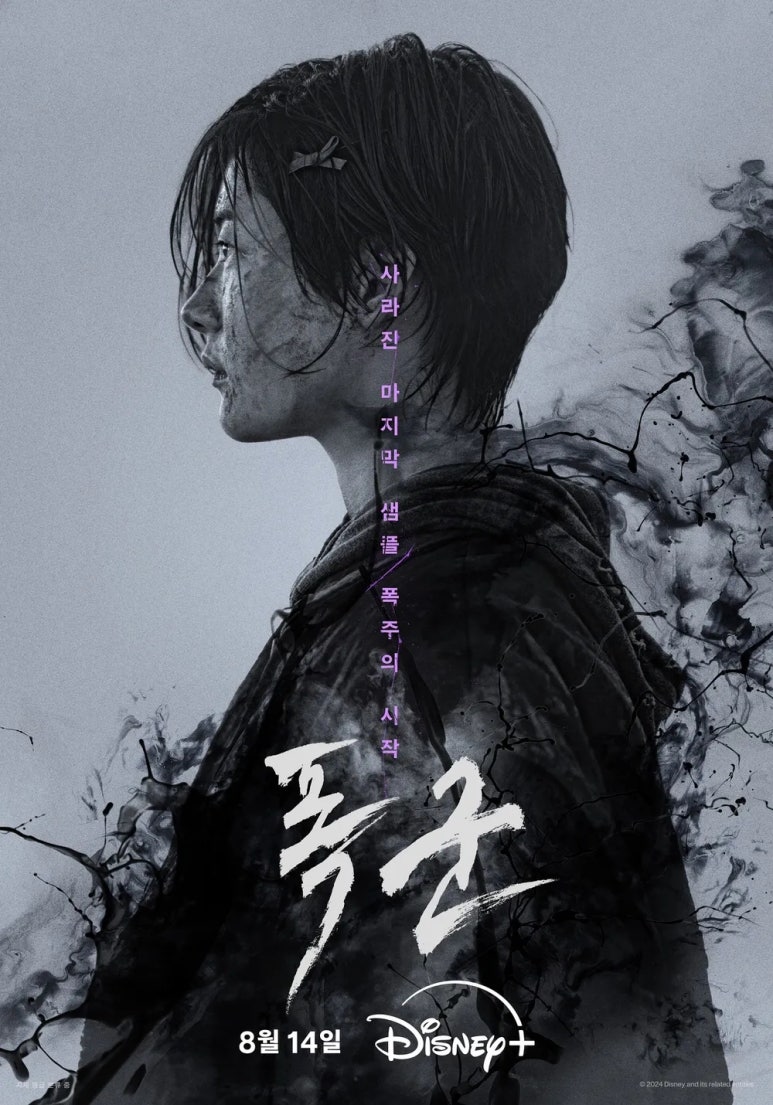 브이아이피플러스 이미지