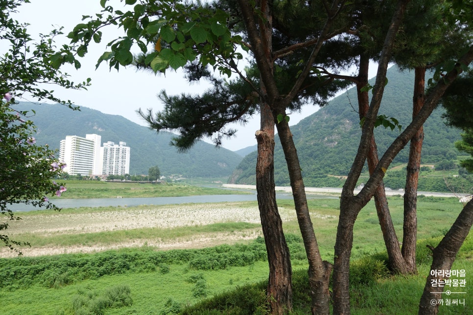 귀빈사진관 이미지