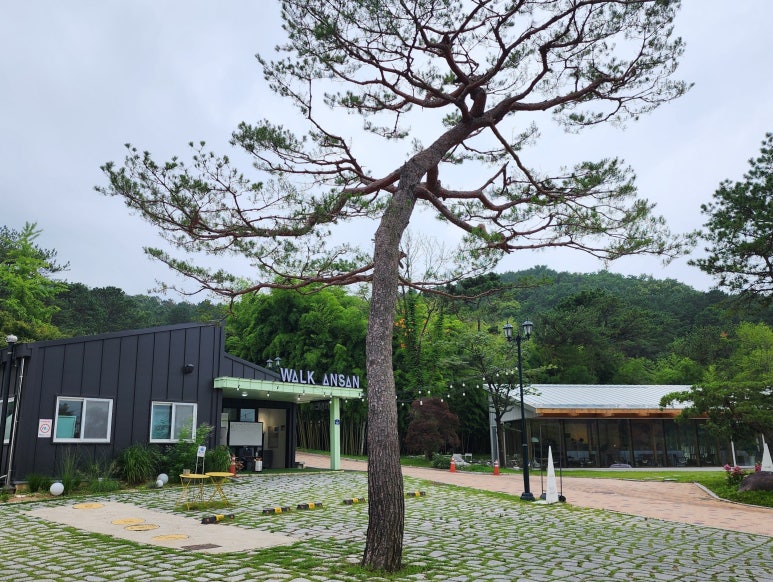 워크안산BBQ 이미지