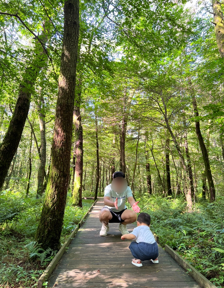 붉은오름자연휴양림 유아숲체험원 이미지