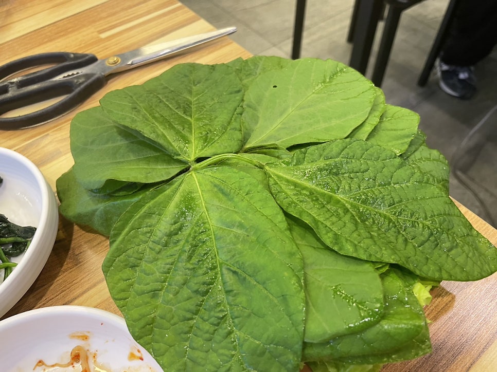 제주신도시 이미지