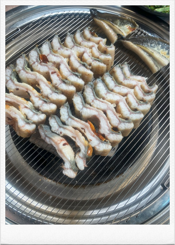 중앙풍천장어 이미지