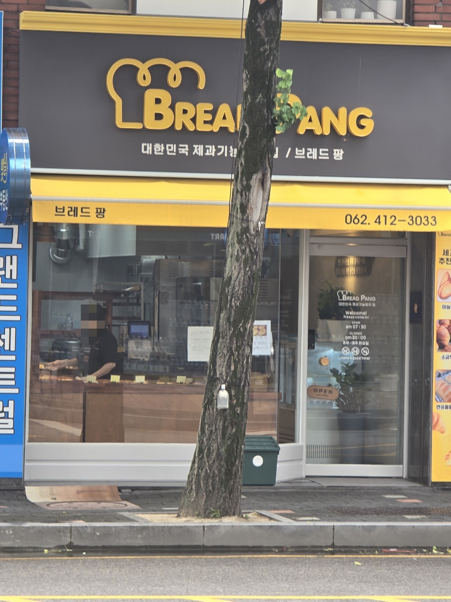 브레드 팡 이미지