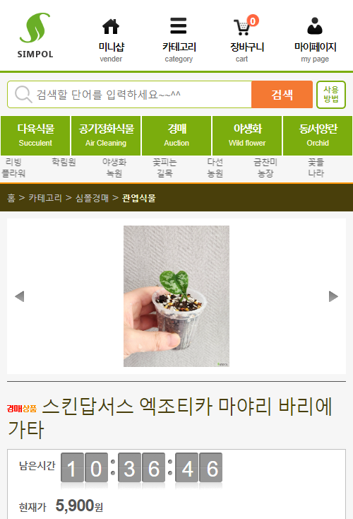 묘한정원 이미지