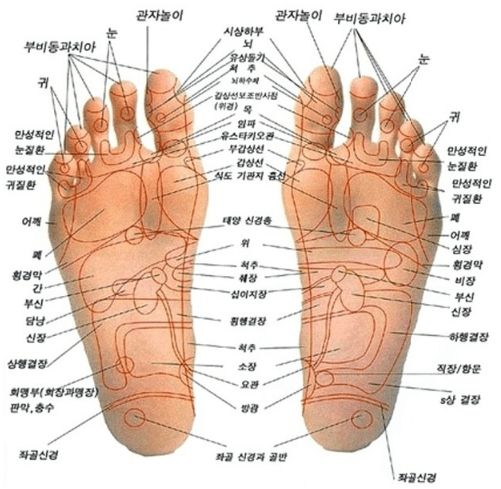 다섯발가락 이미지