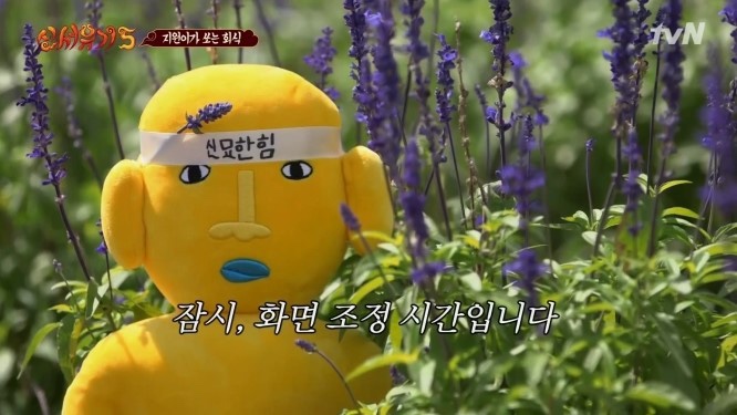 트립패밀리 이미지