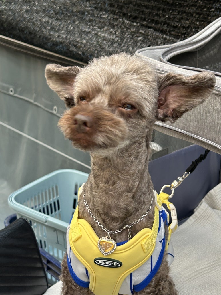복댕이포차 이미지