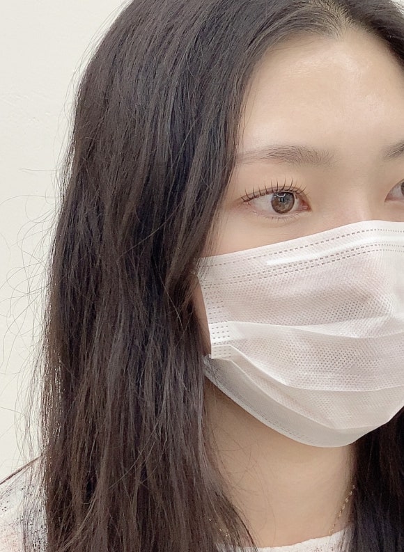 보니떼 이미지