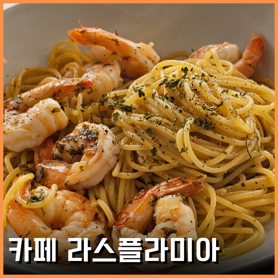목화수 이미지