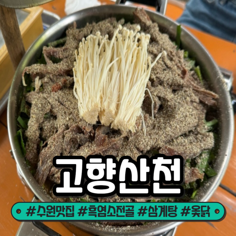고향옻닭삼계탕 이미지