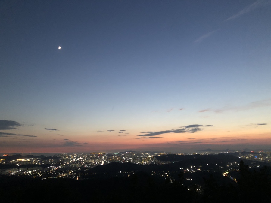 프룻팝 이미지