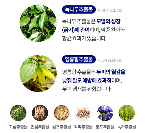 point&헤어 이미지