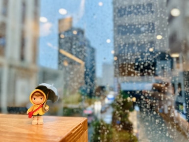 제이엘제이 이미지