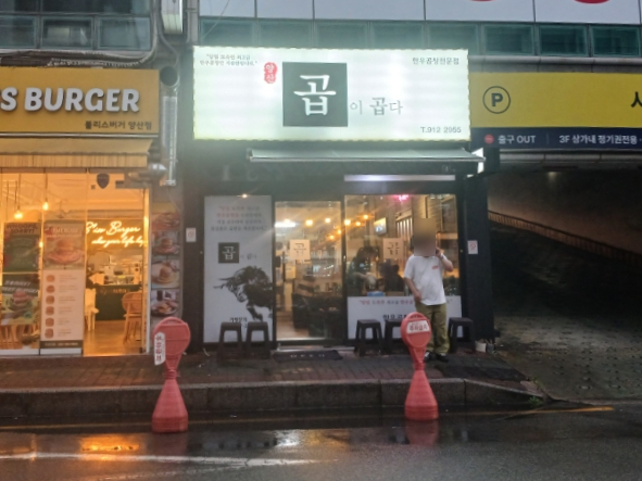 곱이곱다 이미지