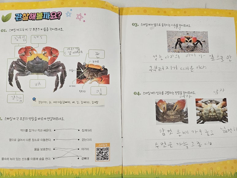 스마일교육연구소 이미지