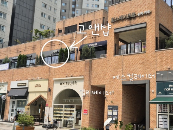 고앤샵 이미지
